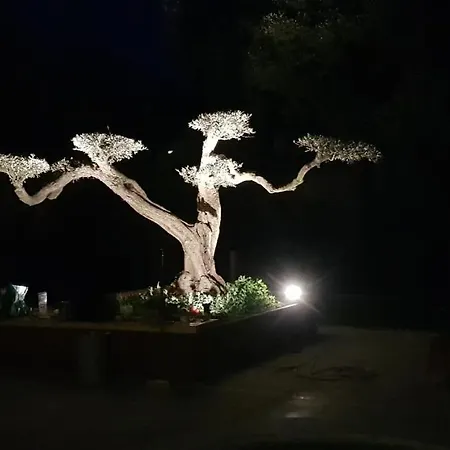 Les De L'arbousier