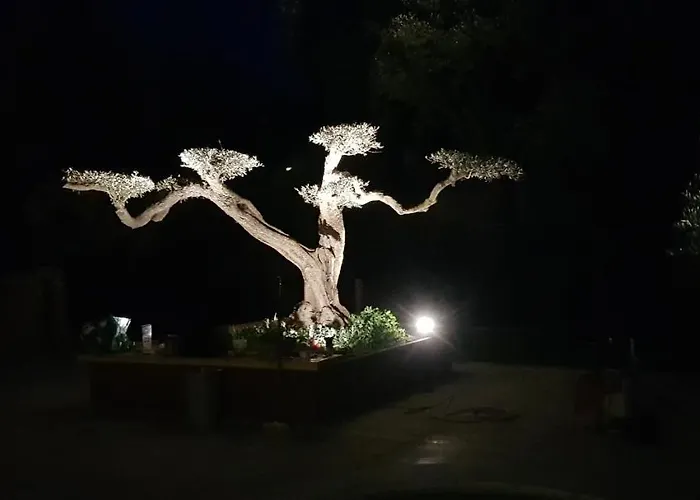 Les De L'arbousier